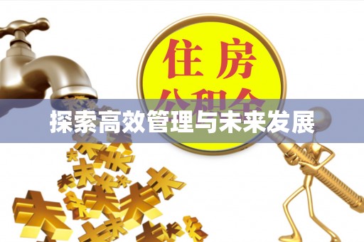 望都探索高效管理与未来发展